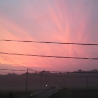 2010062504110000.jpg